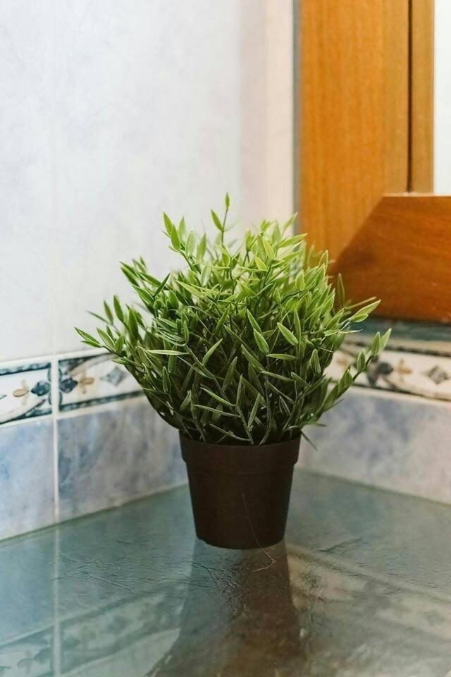 Apartmán Casa Begona - Wifi Sencillo Y Acogedor Sallent de Gállego Exteriér fotografie