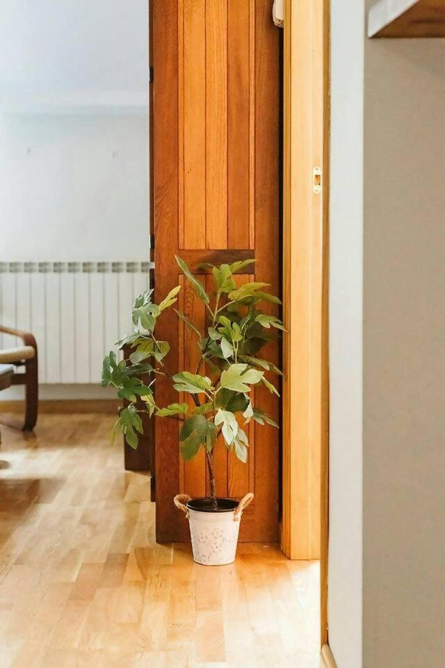 Apartmán Casa Begona - Wifi Sencillo Y Acogedor Sallent de Gállego Exteriér fotografie